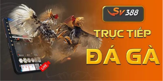 Sv388 – Sảnh Cược Casino Trực Tuyến Đẳng Cấp Châu Á