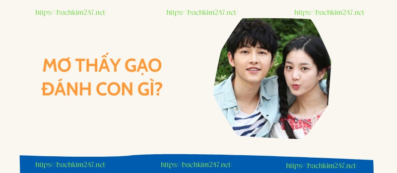 Mơ thấy anh trai đánh con gì? 