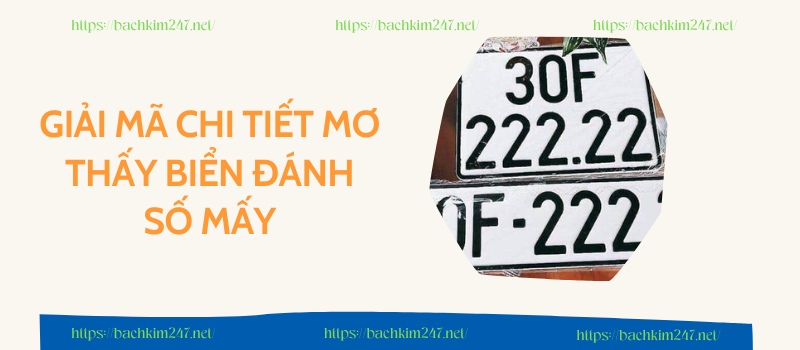 Giải mã chi tiết mơ thấy biển đánh số mấy Giải mã chi tiết mơ thấy biển đánh số mấy