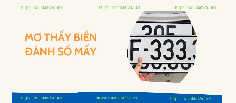 Mơ thấy biển đánh số mấy Mơ thấy biển đánh số mấy