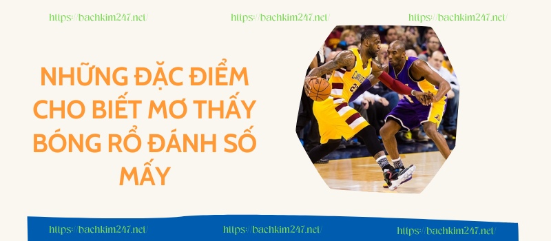 Những đặc điểm cho biết mơ thấy bóng rổ đánh số mấy