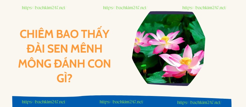 Chiêm bao thấy đài sen mênh mông đánh con gì?