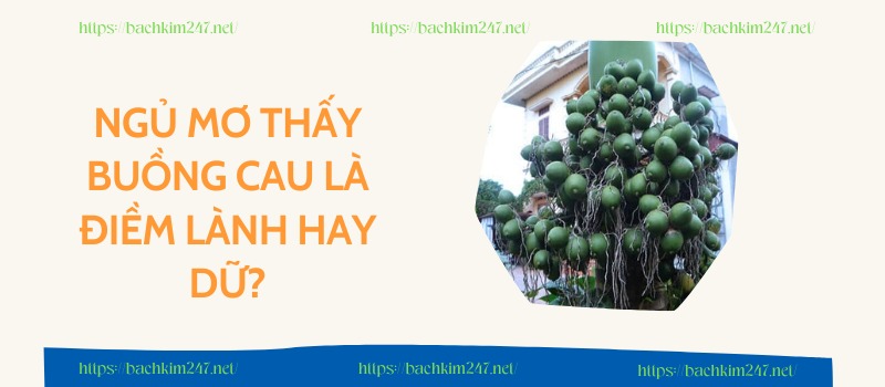 Ngủ mơ thấy buồng cau là điềm lành hay dữ? Ngủ mơ thấy buồng cau là điềm lành hay dữ?