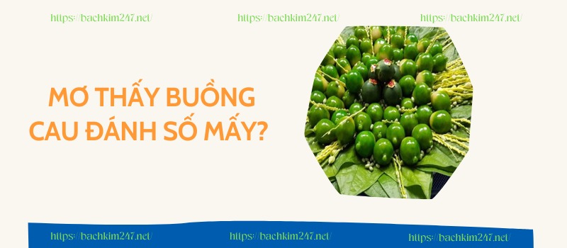 Mơ thấy buồng cau đánh số mấy? Mơ thấy buồng cau đánh số mấy?
