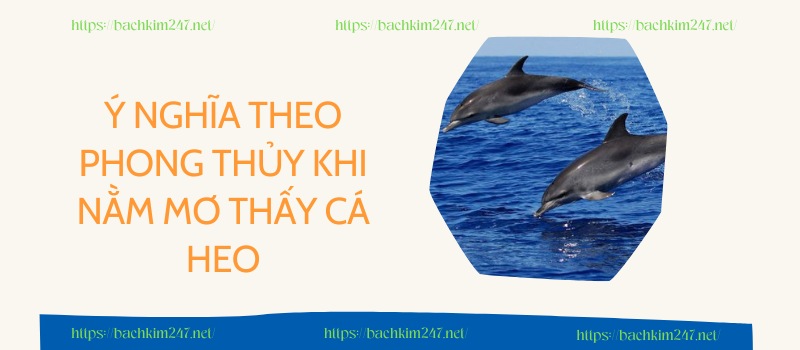 Ý nghĩa theo phong thủy khi nằm mơ thấy cá heo Ý nghĩa theo phong thủy khi nằm mơ thấy cá heo