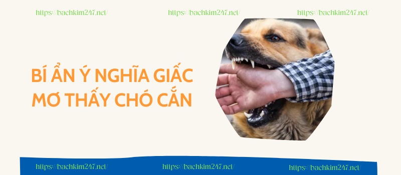 Bí ẩn ý nghĩa giấc mơ thấy chó cắn Bí ẩn ý nghĩa giấc mơ thấy chó cắn