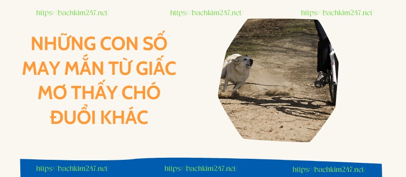 Những con số may mắn từ giấc mơ thấy chó đuổi khác