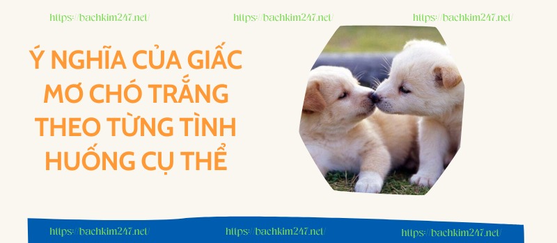 Ý nghĩa của giấc mơ chó trắng theo từng tình huống cụ thể Ý nghĩa của giấc mơ chó trắng theo từng tình huống cụ thể
