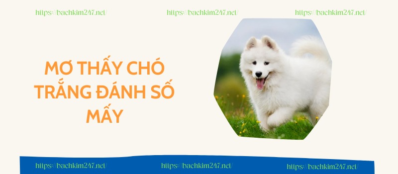 Mơ thấy chó trắng đánh số mấy Mơ thấy chó trắng đánh số mấy