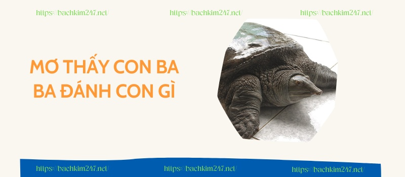 Mơ thấy con ba ba đánh con gì 