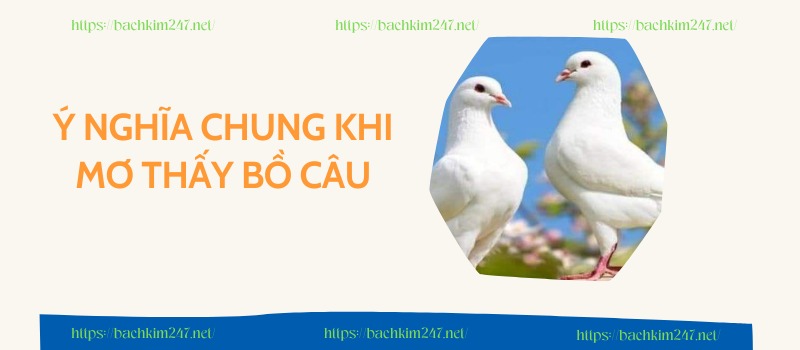 Ý nghĩa chung khi mơ thấy bồ câu Ý nghĩa chung khi mơ thấy bồ câu