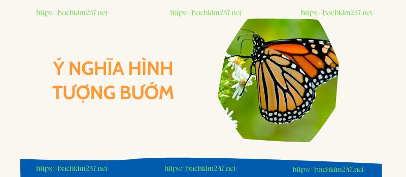 Ý nghĩa hình tượng bướm Ý nghĩa hình tượng bướm
