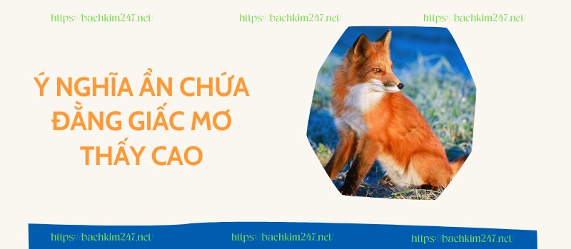 Ý nghĩa ẩn chứa đằng giấc mơ thấy cao