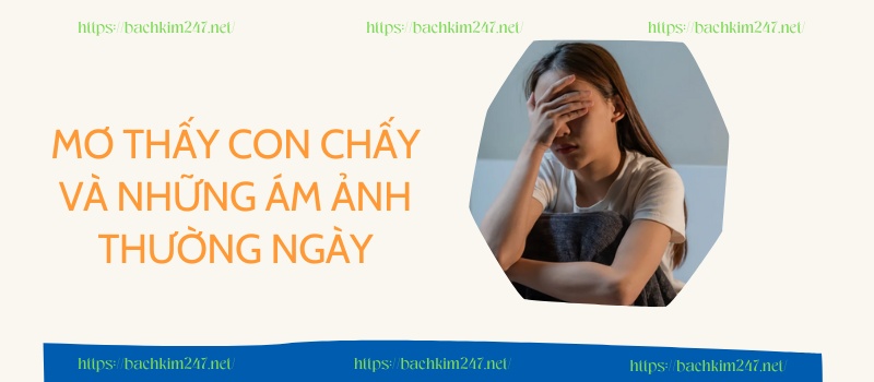 Mức độ nghiêm trọng của vấn đề