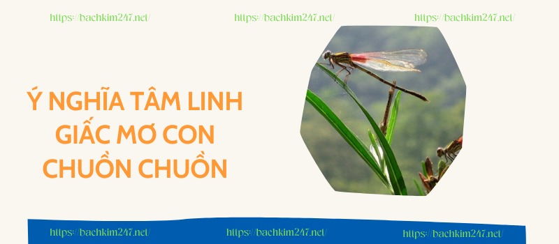 Ý nghĩa tâm linh giấc mơ con chuồn chuồn