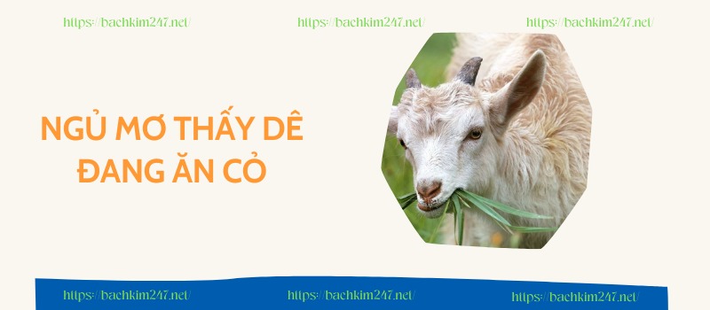 Ngủ mơ thấy dê đang ăn cỏ Ngủ mơ thấy dê đang ăn cỏ