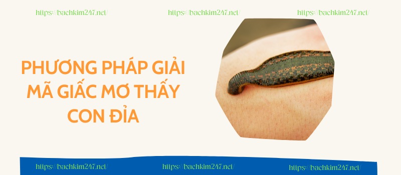 Phương pháp giải mã giấc mơ thấy con đỉa Phương pháp giải mã giấc mơ thấy con đỉa