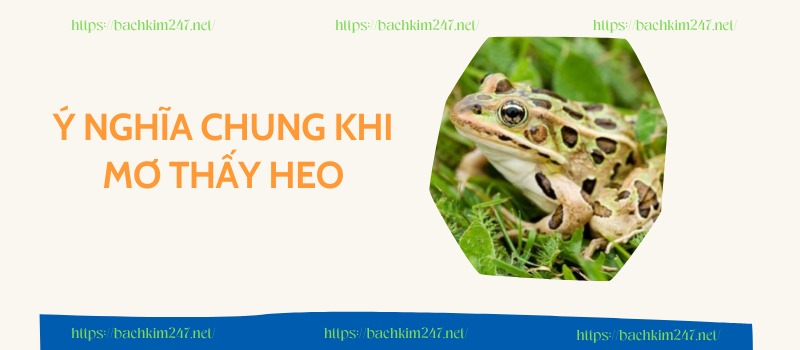 Ý nghĩa chung khi mơ thấy ếch Ý nghĩa chung khi mơ thấy ếch