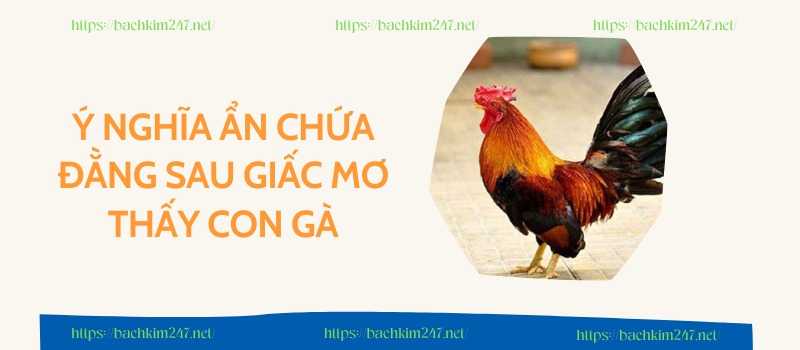 Ý nghĩa ẩn chứa đằng sau giấc mơ thấy con gà Ý nghĩa ẩn chứa đằng sau giấc mơ thấy con gà