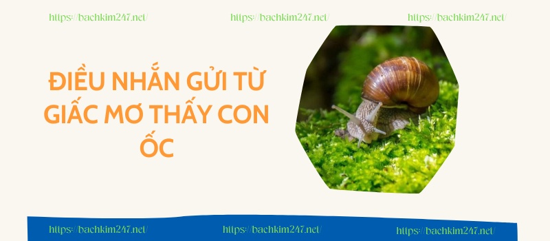 Điều nhắn gửi từ giấc mơ thấy con ốc Điều nhắn gửi từ giấc mơ thấy con ốc