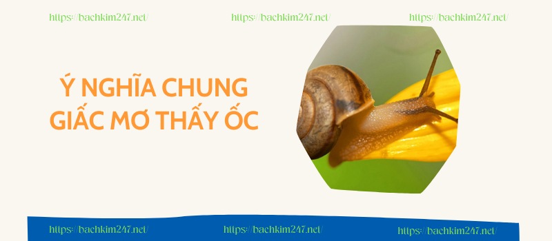 Ý nghĩa chung giấc mơ thấy ốc Ý nghĩa chung giấc mơ thấy ốc