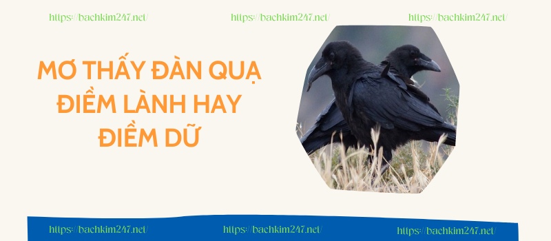 Mơ thấy đàn quạ điềm lành hay điềm dữ Mơ thấy đàn quạ điềm lành hay điềm dữ