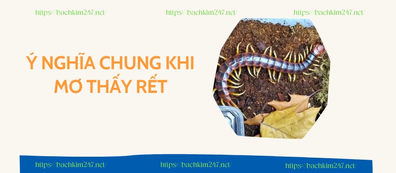 Ý nghĩa chung khi mơ thấy rết Ý nghĩa chung khi mơ thấy rết