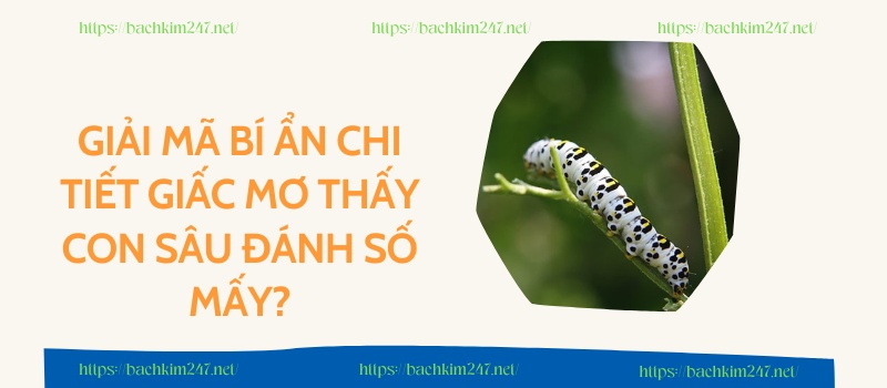 Giải mã bí ẩn chi tiết giấc mơ thấy con sâu đánh số mấy?