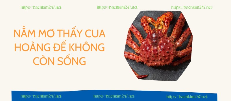 Nằm mơ thấy cua hoàng đế không còn sống