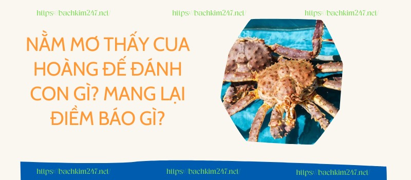 Nằm mơ thấy cua hoàng đế đánh con gì? Mang lại điềm báo gì?