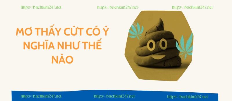 Mơ thấy cứt có ý nghĩa như thế nào? Mơ thấy cứt có ý nghĩa như thế nào?