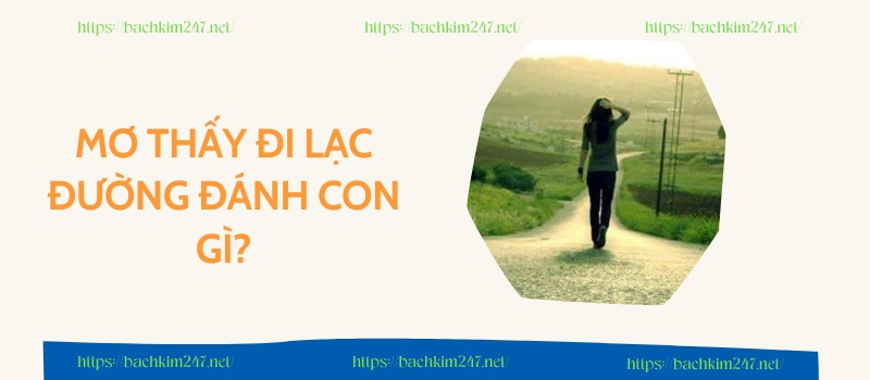 Mơ thấy đi lạc đường đánh con gì?