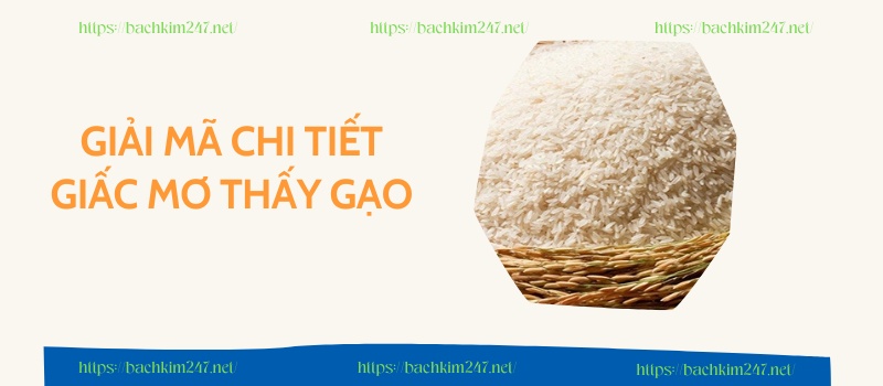 Giải mã chi tiết giấc mơ thấy gạo