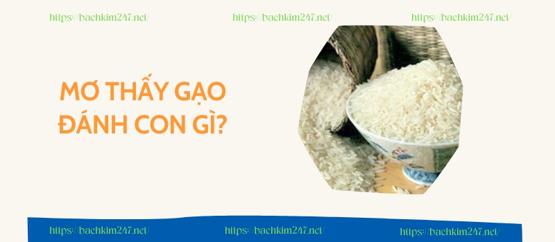Mơ thấy gạo đánh con gì? 