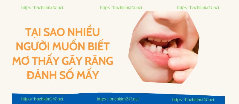 Tại sao nhiều người muốn biết mơ thấy gãy răng đánh số mấy