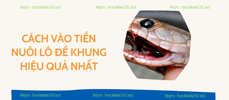 Cách vào tiền nuôi lô đề khung hiệu quả nhất