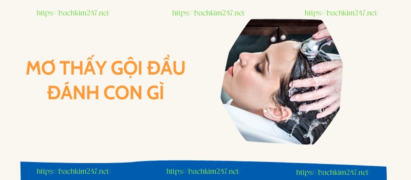 Mơ thấy gội đầu đánh con gì

