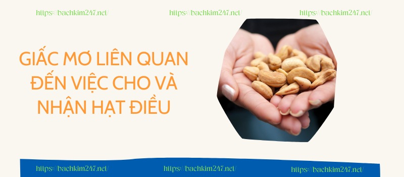 Giấc mơ liên quan đến việc cho và nhận hạt điều
