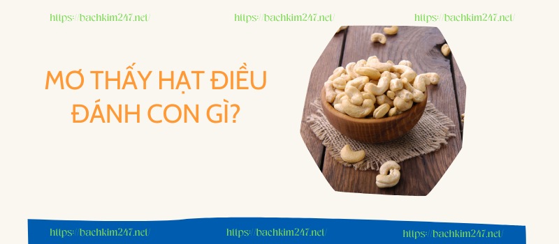 Mơ thấy hạt điều đánh con gì