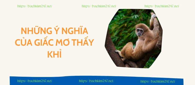 Những ý nghĩa của giấc mơ thấy khỉ