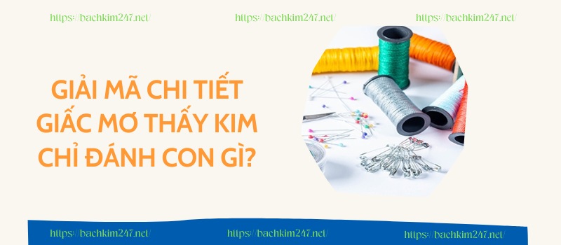 Giải mã chi tiết giấc mơ thấy kim chỉ đánh con gì? Giải mã chi tiết giấc mơ thấy kim chỉ đánh con gì?