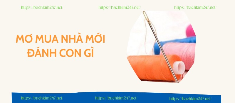 Mơ thấy kim chỉ đánh con gì? Mơ thấy kim chỉ đánh con gì?