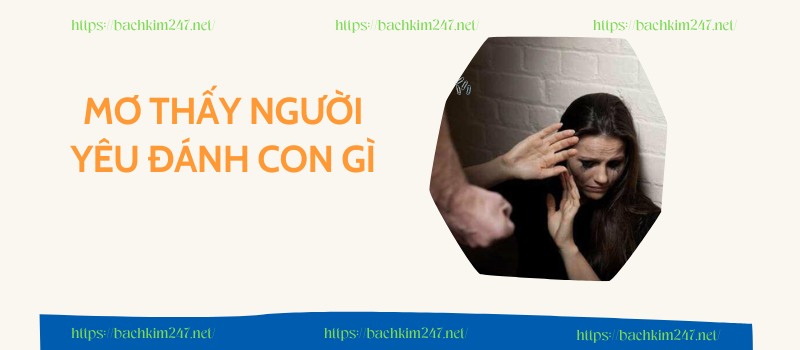 Mơ thấy người yêu đánh con gì  Mơ thấy người yêu đánh con gì