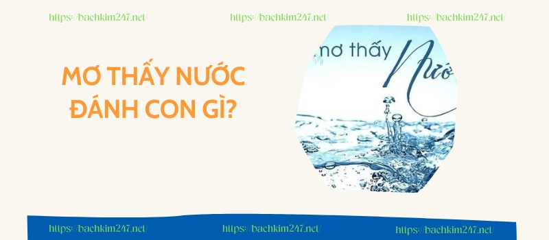 Mơ thấy nước đánh con gì? Mơ thấy nước đánh con gì?