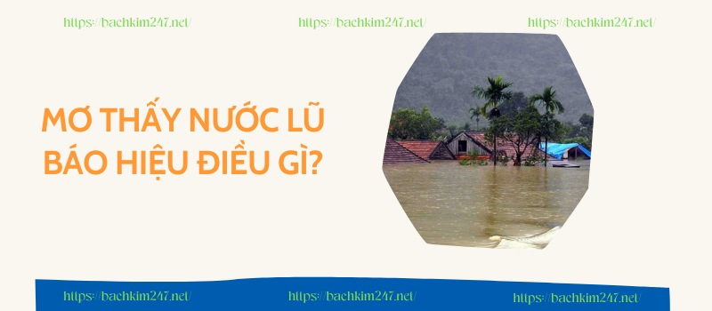 Mơ thấy nước lũ báo hiệu điều gì? Mơ thấy nước lũ báo hiệu điều gì?