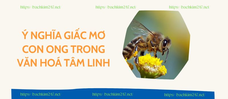 Ý nghĩa giấc mơ con ong trong văn hoá tâm linh Ý nghĩa giấc mơ con ong trong văn hoá tâm linh