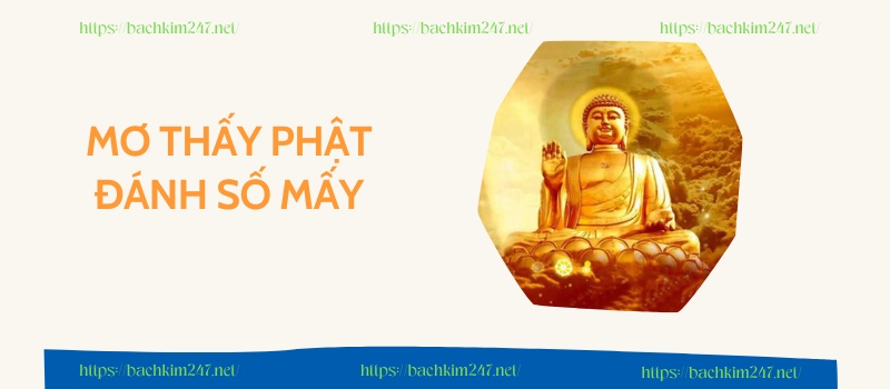 Mơ thấy Phật đánh số mấy
