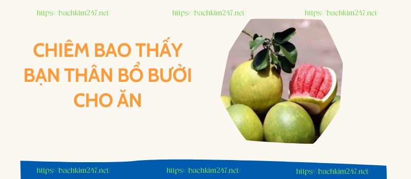 Chiêm bao thấy bạn thân bổ bưởi cho ăn Chiêm bao thấy bạn thân bổ bưởi cho ăn