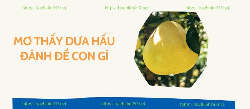 Mơ thấy quả bưởi đánh con gì Mơ thấy quả bưởi đánh con gì