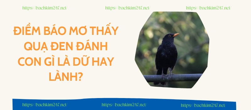 Điềm báo mơ thấy quạ đen đánh con gì là Dữ hay lành?